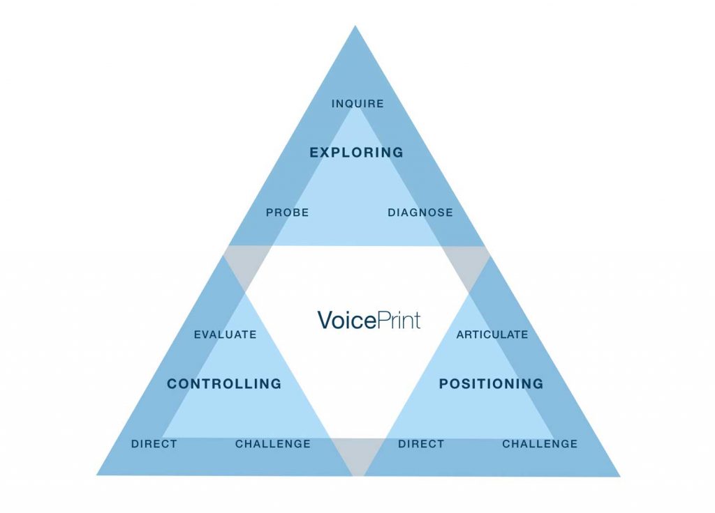 VoicePrint clusters