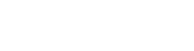 TalkWise logo